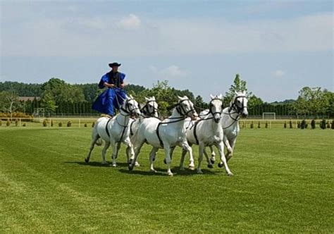 kincsem lovaspark tápiószentmárton|Főoldal 